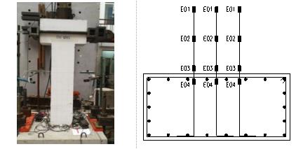 柱加载及测点布置示意图