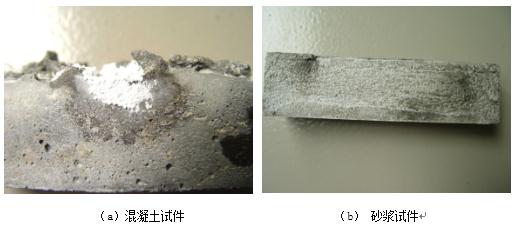 混凝土试件和砂浆试件表面的黑斑