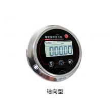 HC-100精密数字压力表