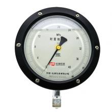 YTNB-150 耐震精密压力表